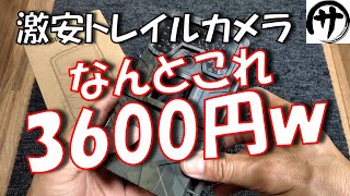 【衝撃映像】コスパ最強！Amazonで3600円で買った激安トレイルカメラの性能が凄すぎたｗｗｗ Cheap trail camera review [upl. by Ethelin669]