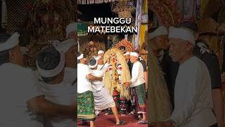 Calonarang Desa Adat Munggu calonarang balineseculture shorts [upl. by Doughty698]