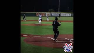 IS THIS A VALID RUN  highlights media venice windermere baseball [upl. by Eiggep]