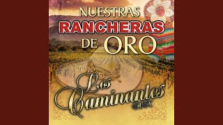 Caminos De Michoacan [upl. by Ilyk]