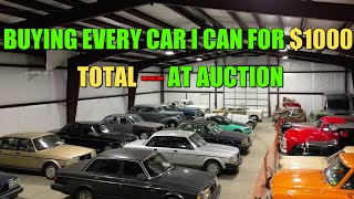 How Many Cars Can I Buy With 1000 At Auction [upl. by Aeneg]