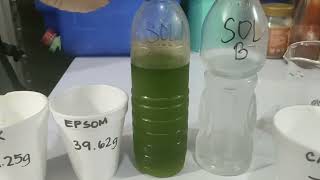 Tutorial kung paano gumawa ng DIY stock nutrients solution concentrated Masterblend Hydroponics [upl. by Jenkel]