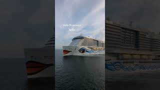 AIDA NOVA blows her horn to greet the SKY PRINCESS cruiseship cruise travel shipshorn [upl. by Erlina]