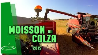 Moisson du colza  2015  no comment [upl. by Crissie]