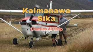 Kaimanawa Sika amp Charlies Airstrip [upl. by Rufena]