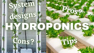 What Is Hydroponics And How Does It Work [upl. by Sabrina]