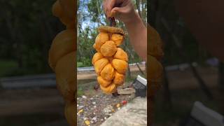 yammy cempedak fruit cutting 😋🥰🥝🫐🍒🍓🥑171shorts fruitworld [upl. by Rakabuba]