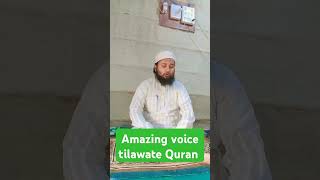 Misri Qari best tilawate Quran quran religion islam islamicstatus youtubeshorts [upl. by Perla]