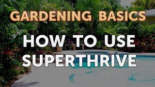 How to Use SUPERThrive [upl. by Derr]