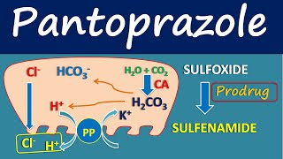 Pantoprazole  Mechanism side effects and uses [upl. by Sicular]