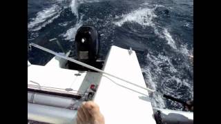 multihull trimaran Trokril 21quot [upl. by Zandt779]