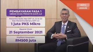 GKP 40  PKS Mikro boleh semak status kelulusan bayaran mulai 20 Sept  Tengku Zafrul [upl. by Leahcin]