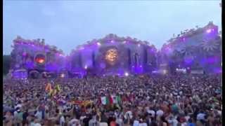 David Guetta  Tomorrowland 2014 Live Set  Weekend 2 [upl. by Dalt36]