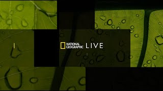 National Geographic Live  Ridgefield Playhouse [upl. by Ayitahs689]