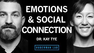 Dr Kay Tye The Biology of Social Interactions and Emotions [upl. by Rosalynd]