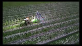 Fendt 208V Vario spraying with a Munckhof 3 row sprayer [upl. by Damalus]