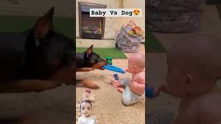 Baby or dog 💪 dog baby pets petlovers puppy love yttrending viralvideo [upl. by Tabor]