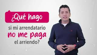 En las Casas de Justicia resolvemos conflictos por pagos arriendos custodias deudas y otros [upl. by Sander]