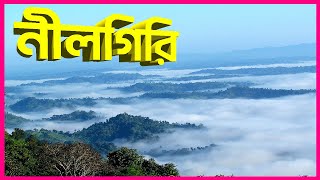 মেঘের রাজ্য নীলগিরি  Bandarban City Tour Plan  Nilgiri  Nilachal  Bandarban Day Tour Plan [upl. by Neetsirhc]