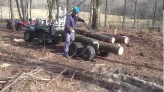 ATV Loading timber with remotecontrolled hydraulic winch [upl. by Leontina188]