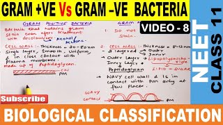 Gram Positive Vs Gram Negative Bacteria in Hindi  Biological Classification Class 11  NEET 202223 [upl. by Saltzman202]