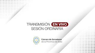 VIVO  19° SESIÓN ORDINARIA  126° PERIODO LEGISLATIVO  CÁMARA DE SENADORES DE SALTA [upl. by Omlesna542]