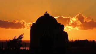 The Cormorant roost  Ramsgate [upl. by Elleinnod559]