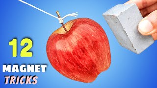 12 Awesome Magnet Tricks  Science Experiments With Magnet [upl. by Anoerb]