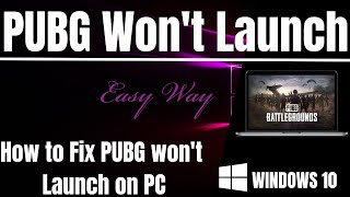 How to Fix PUBG Wont Launch PC [upl. by Adnolohs177]