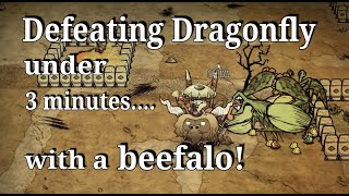 DST  Dragonfly under 3 minutes  Beefalo Fights [upl. by Aeirdna]