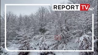 Reshje dëbore edhe në Malësinë e Krujës trashësia arrin deri në 15 cm [upl. by Whitnell]