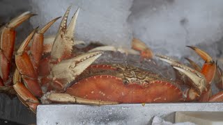 CAs commercial Dungeness crab season will end early to protect whales [upl. by Naletak]