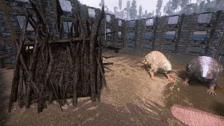 How To Farm cementing pastesilica woodrare mushroomrare flower ark survival evolved mobile👍👍👍👍 [upl. by Eiramyma]