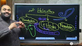 parasitology introduction part 2  1st year [upl. by Arrekahs]