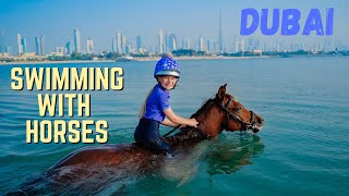 THIS WAS EPIC HORSE RIDING AND SWIMMING IN THE SEA ON AN ARABIAN HORSE IN DUBAI [upl. by Iago836]