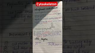 Cytoskeleton biology csirnetkeliyebestcoaching youtubeshorts new shorts studywithamrita [upl. by Furr448]