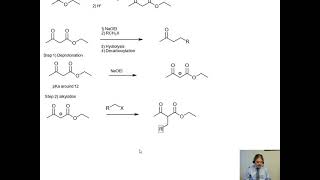 Acetoacetic ester synthesis [upl. by Edobalo838]