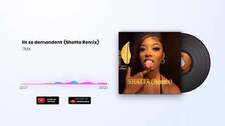 Denden  Ils se demandent Shatta Remix Ft TMX [upl. by Alegnad]