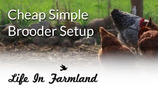 Cheap and easy chicken brooder box setup [upl. by Alanah]