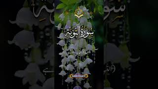 surattaubasurahtaubatrnaslationislamicvideo [upl. by Polik441]