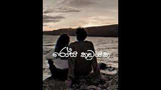 රෝස කුඩයකrosa kudayaka මනෝපාරකට Ytmusic official Music video  slowedreved [upl. by Notnilc]