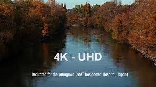 Autumn Impressions from Vienna  4K UHD [upl. by Nnylav]