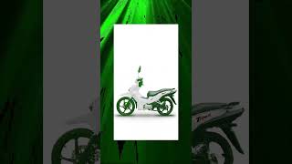 CHAMP Motor TOP 5 gasoline motorcycle T REX Charming factory [upl. by Ydda645]