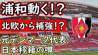 【浦和レッズ】またもや北欧からの補強噂！今季のメンバーを見ながらその補強は正しいか考察【補強】 [upl. by Joye773]