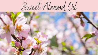 Sweet Almond Oil INCI Prunus Amygdalus Dulcis Oil Intense Anti Wrinkle Perfect for Mature Skin [upl. by Jard815]