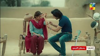 Zard Patton Ka Bunn Episode 01 Sajal Aly  Hamza Sohail  Zard Patton Ka Bunn epi 1 [upl. by Steinke]