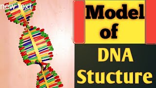 How to make Model of DNA StructureDNA Model for school Project and ExhibitionsKansal Creation [upl. by Ashley478]