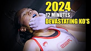 12 Minutes of Devastating MMA KOs of 2024 [upl. by Lantha803]