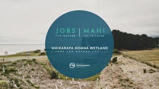 Wairarapa Moana Wetlands  A Jobs for Nature Project [upl. by Airdnahs688]