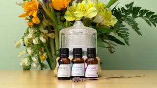 Springtime Air Diffuser Blend [upl. by Ash]